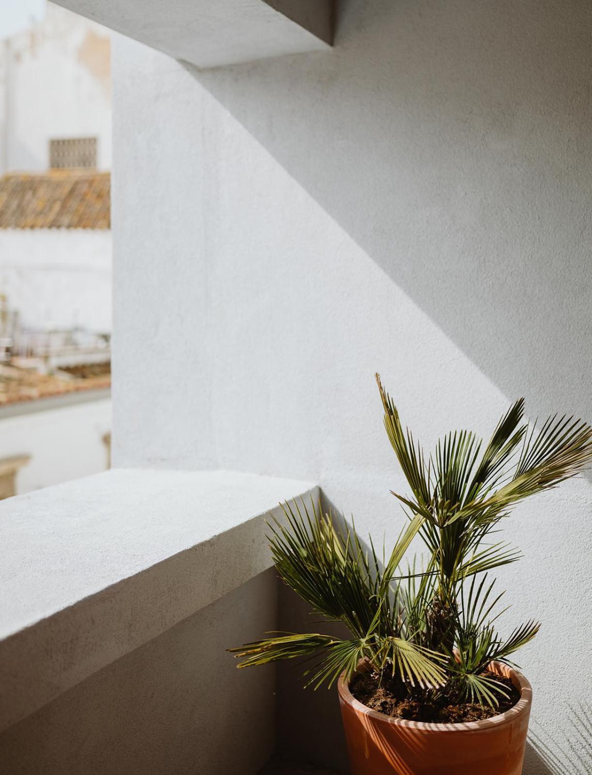 The Modernist, Architecture Experience Apartment Faro Exterior photo